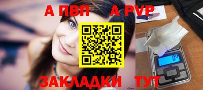 кокс Гатчина