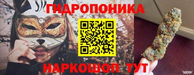 a pvp Гай