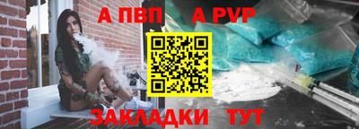 кокс Гатчина