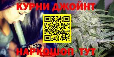 кокс Гатчина
