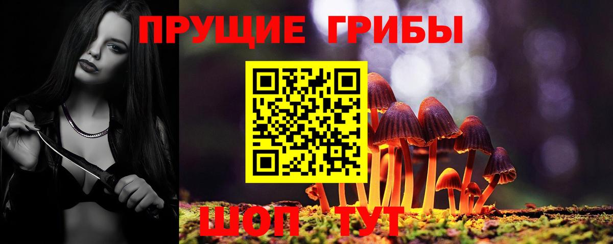 Псилоцибиновые грибы Magic Shrooms Кинешма