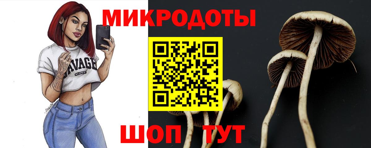 Псилоцибиновые грибы прущие грибы  Галлюциногенные грибы ЛСД  Кинешма  Вход с VPN 